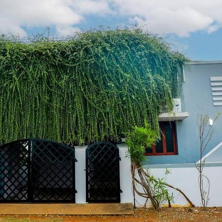 The Peaceful Place Karaikkudi Exterior photo